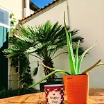 Weingut Krell Farm stay *