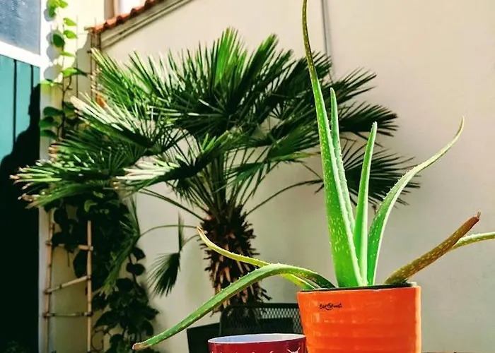 Weingut Krell Feriegård *